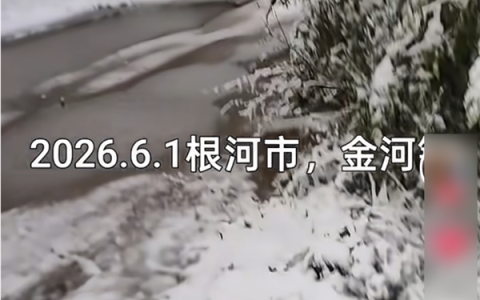 内蒙古根河市突发罕见大雪 积雪最厚达5厘米：官方称近年罕见 或受厄尔尼诺影响