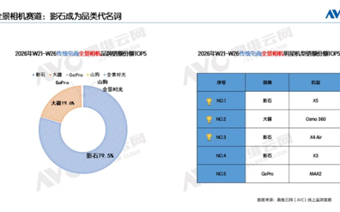 这个618运动相机卖疯了：销量大增65% 影石X5成最火全景相机