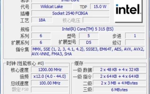 英特尔酷睿5 315实测：为硬刚MacBook Neo而生