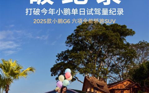 何小鹏：全新小鹏G6上市后首个周末创下试驾数纪录！