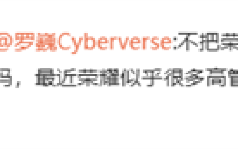荣耀首席影像工程师罗巍入职一周年 曾称不把荣耀影像带到飞起 不离职