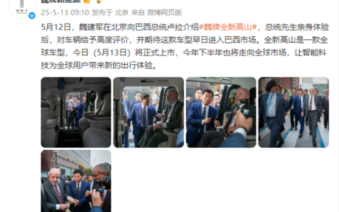 巴西总统亲自体验魏牌全新高山车型 长城魏建军陪同接待